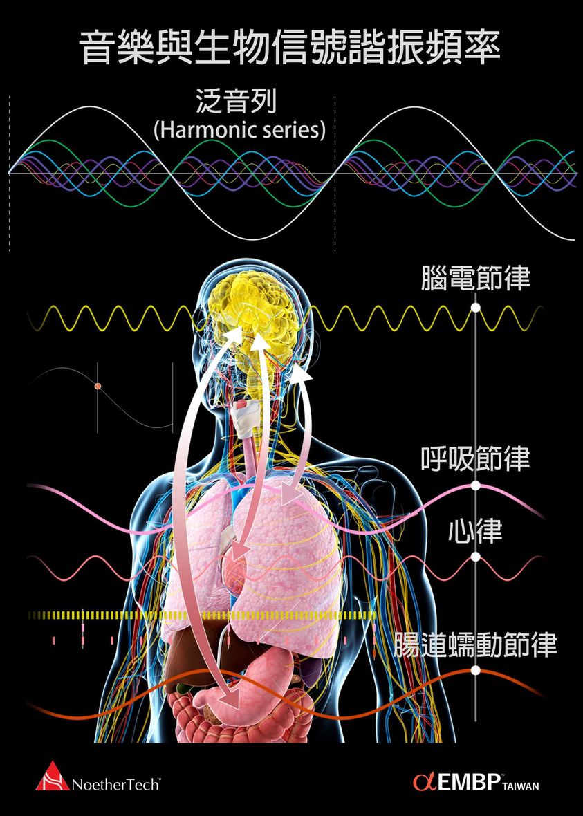 音樂與生物信號諧振頻率