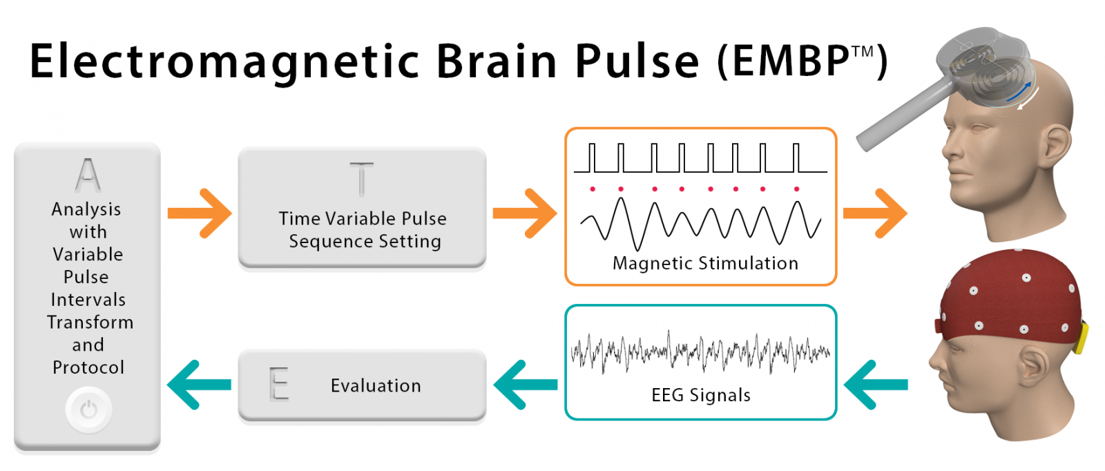 EMBP