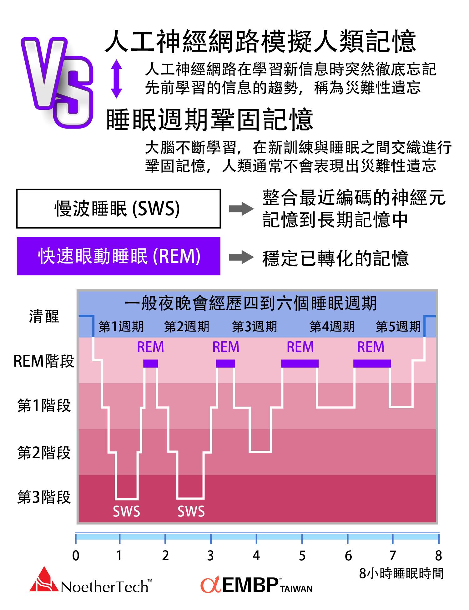 睡眠週期鞏固記憶