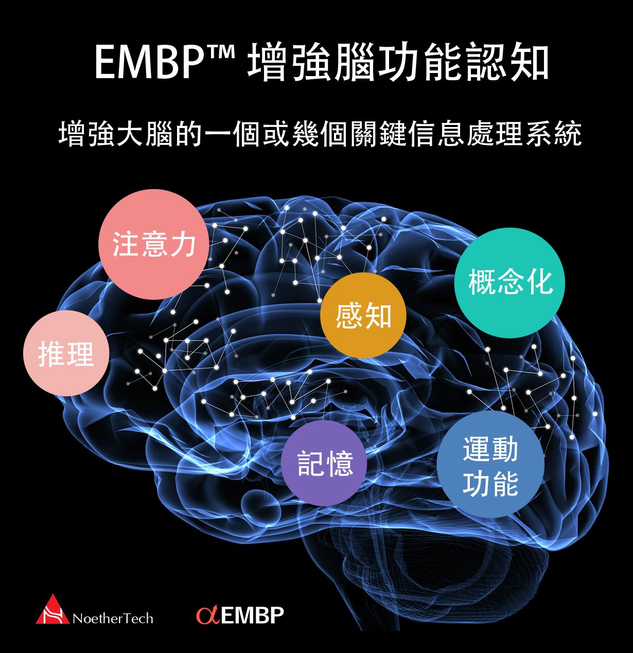 EMBP 增強腦功能認知