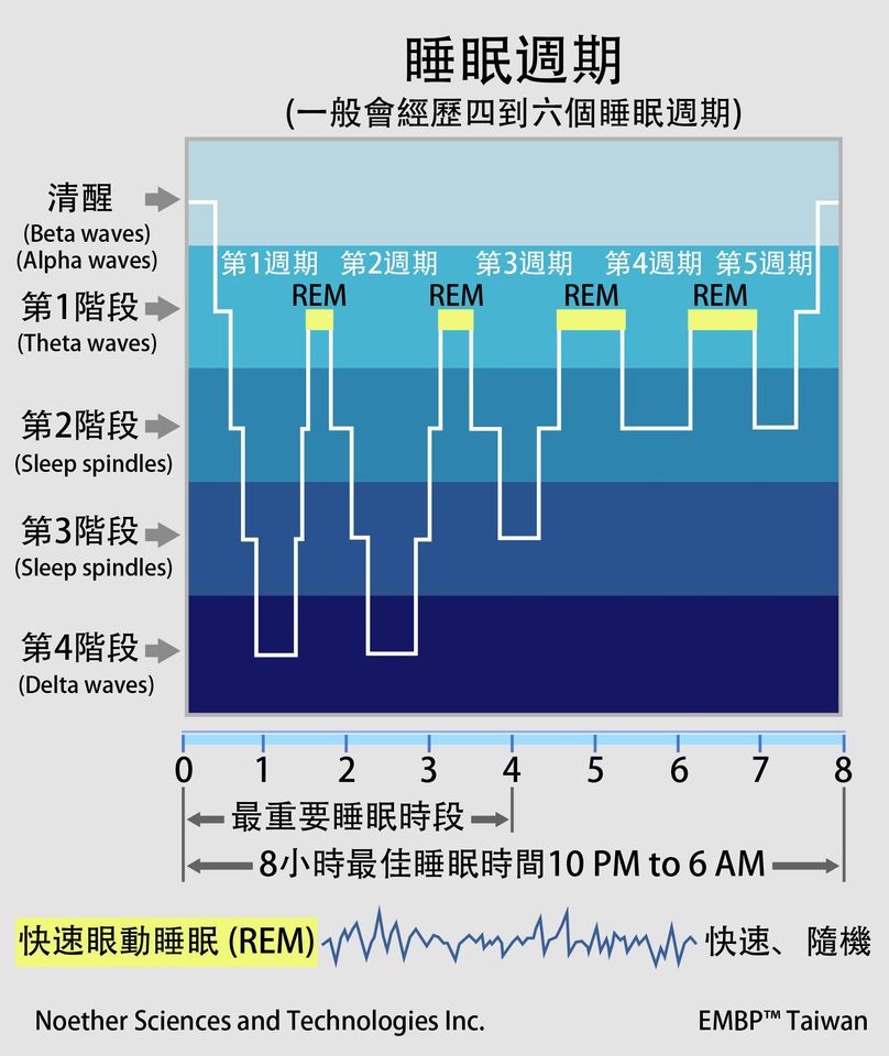 睡眠週期